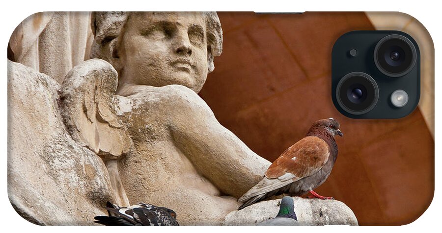 Angel iPhone Case featuring the photograph Angel and Birds by Harry Spitz