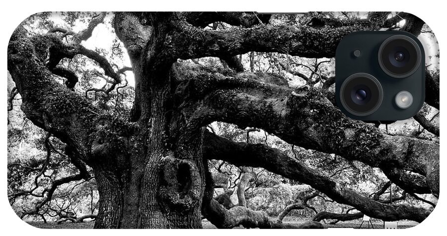 Nature iPhone Case featuring the photograph Angel Oak Tree 2009 Black and White by Louis Dallara