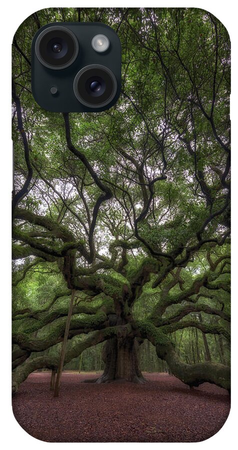 Angel Oak Tree iPhone Case featuring the photograph Angel Oak Tree, Charleston, SC by Rick Berk