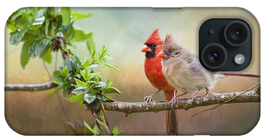 Redbirds iPhone Case featuring the photograph Angels of the Morning and Evening by Bonnie Barry