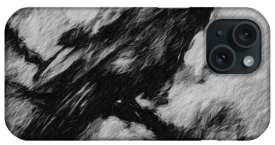 Raven iPhone Case featuring the digital art Angry in the Storm by Terry Fiala