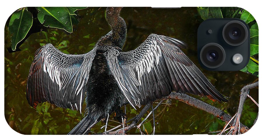 Nature iPhone Case featuring the photograph Anhinga in the Mangroves by Phil Jensen