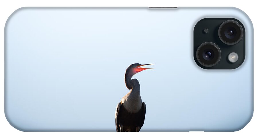 Anhinga iPhone Case featuring the photograph Anhinga by Ivo Kerssemakers