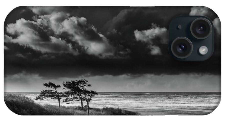 Kalaloch Beach iPhone Case featuring the photograph Another Day at Kalaloch Beach by Dan Mihai