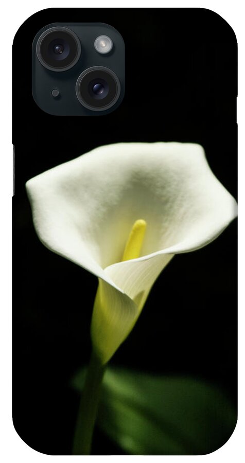 Anthurium iPhone Case featuring the photograph Anthurium White flower by Jason Hughes