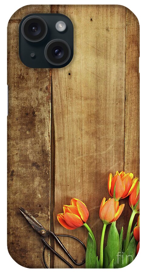 Tulips iPhone Case featuring the photograph Antique Scissors and Tulips by Stephanie Frey