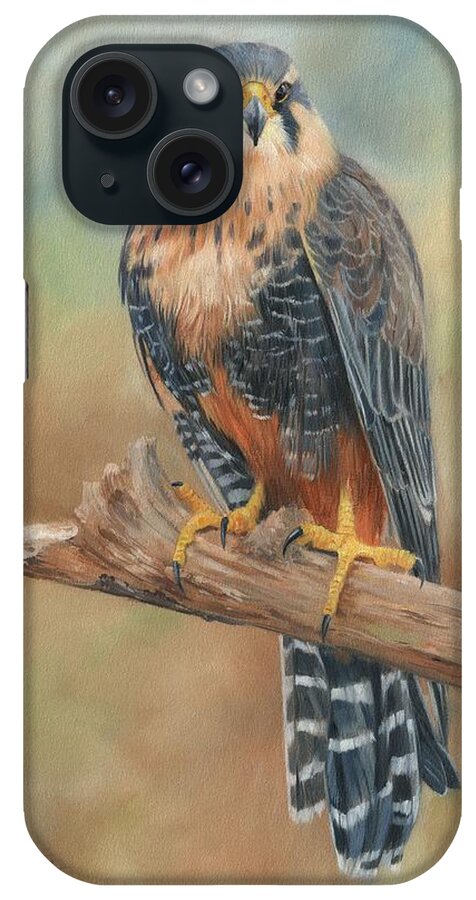 Falcon iPhone Case featuring the painting Aplomado Falcon by David Stribbling