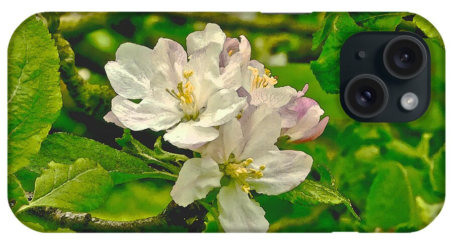 Apple Flowers iPhone Case featuring the photograph Apple Flowers. by Elena Perelman
