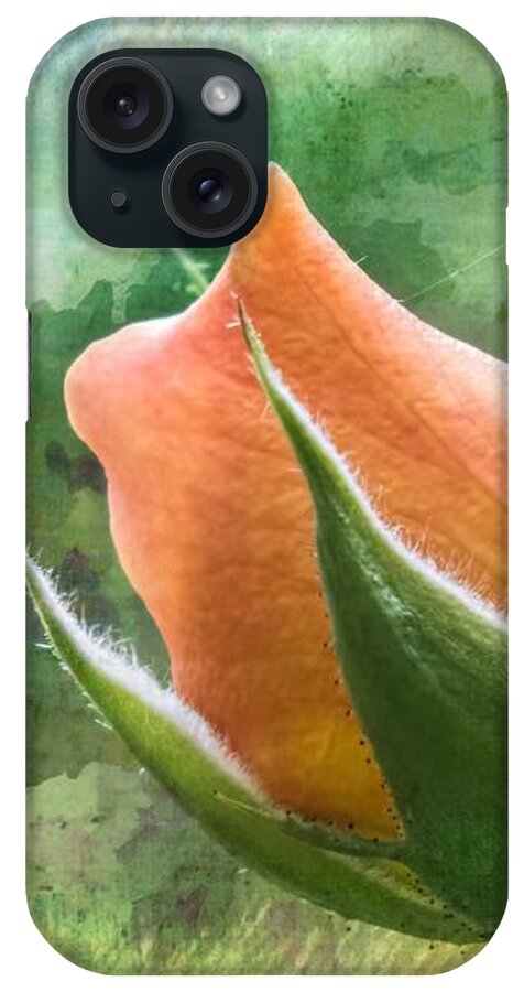 Rosebud iPhone Case featuring the photograph Apricot Delight Rosebud Floral Garden by Melissa Bittinger