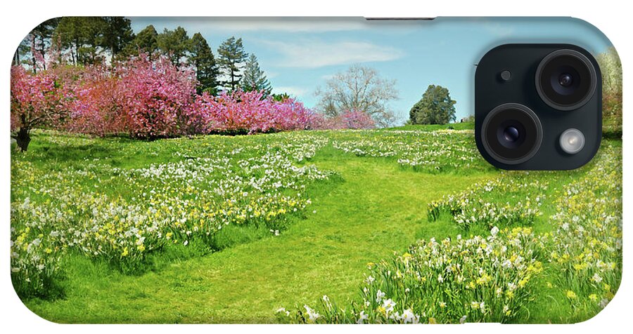 Nybg iPhone Case featuring the photograph April Days by Diana Angstadt