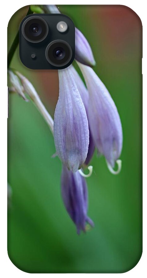 Hosta iPhone Case featuring the photograph April Ends by Michiale Schneider