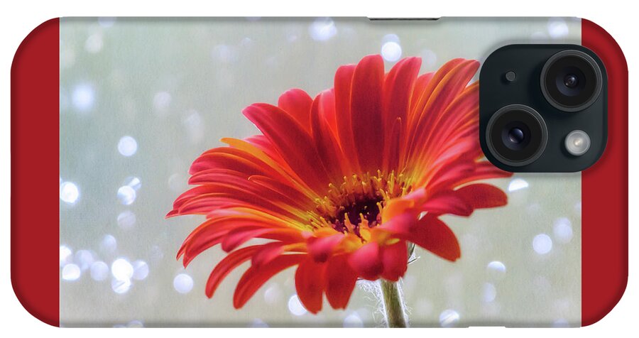 Terry D Photography iPhone Case featuring the photograph April Showers Gerbera Daisy Square by Terry DeLuco