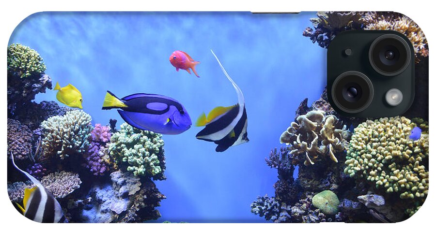 Barbara Snyder iPhone Case featuring the digital art Aquarium 2 by Barbara Snyder