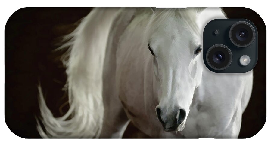 Horse iPhone Case featuring the photograph Arabian Horse by Athena Mckinzie