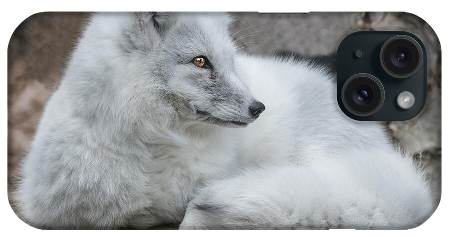 Animal iPhone Case featuring the photograph Arctic Fox Profile by William Bitman