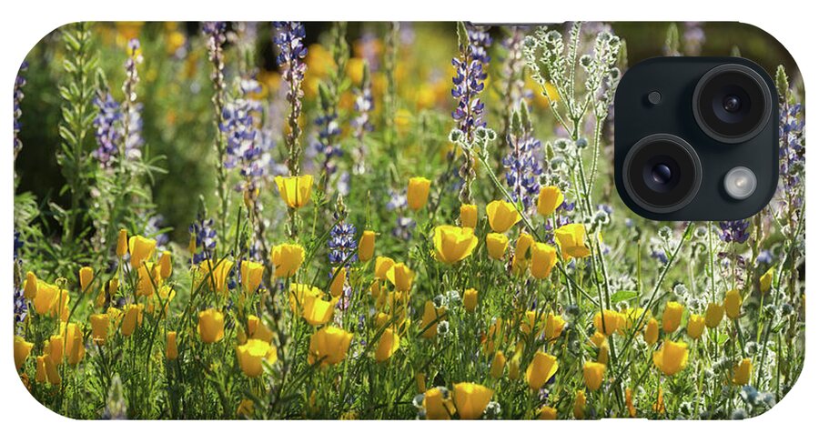 Poppies iPhone Case featuring the photograph Arizona Spring Wildflowers by Saija Lehtonen