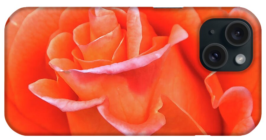 Rose iPhone Case featuring the photograph Orange Bud by Kirt Tisdale