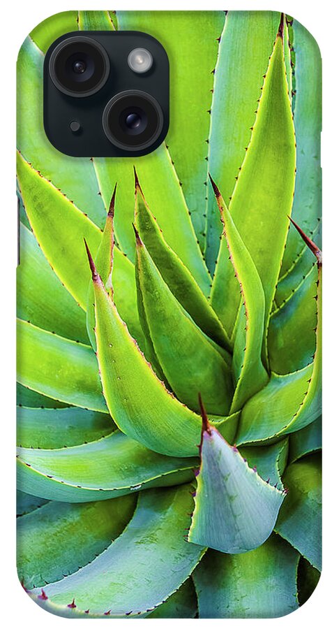 Agave iPhone Case featuring the photograph Artichoke Agave Desert Plant by Julie Palencia