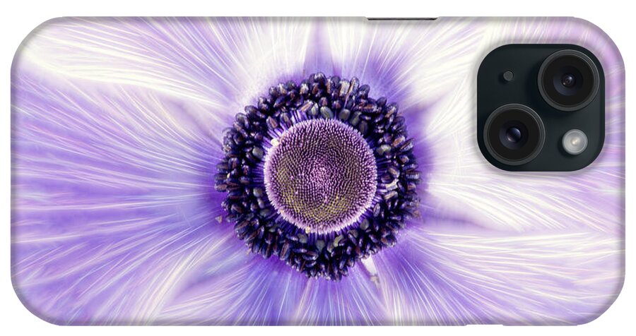 Flower iPhone Case featuring the photograph Artistic Poppy Anemone by Don Johnson