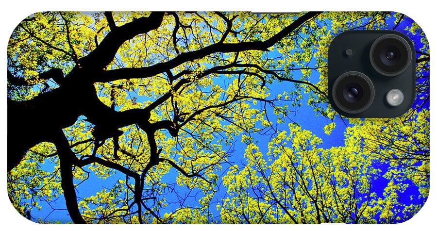Tree Canopy iPhone Case featuring the photograph Artsy Tree Canopy Series, Early Spring - # 01 by The James Roney Collection