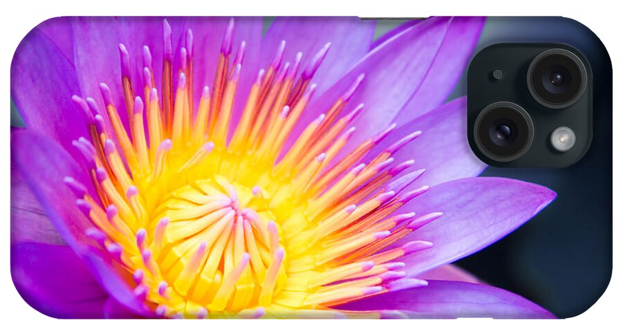 The World Is A Garden iPhone Case featuring the photograph The World is a Garden by Sharon Mau