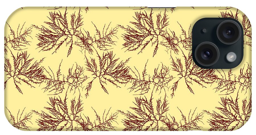 Seaweed iPhone Case featuring the mixed media Ocean Seaweed Plant Art Laurencia Tenuissima by Christina Rollo