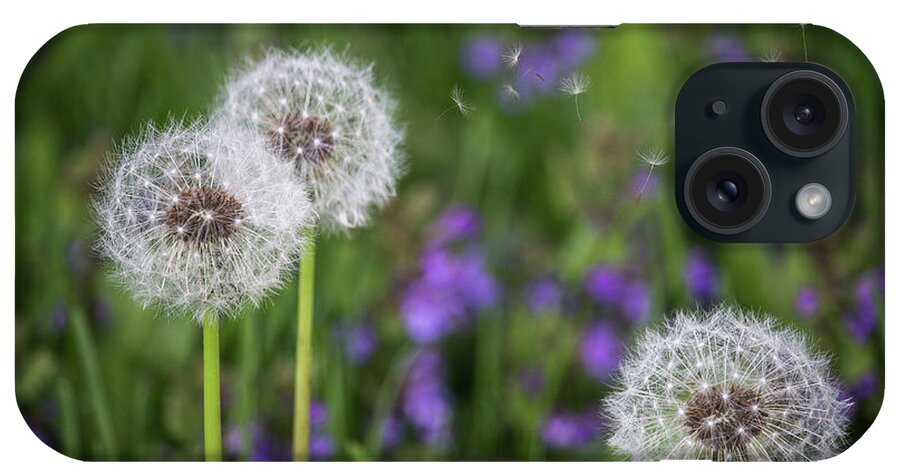 Dandelion Photo iPhone Case featuring the photograph Three Wishes by Karen Casey-Smith