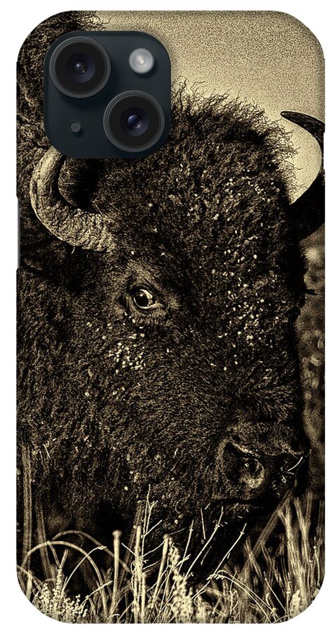 2017 November iPhone Case featuring the photograph Bison Wild Eye - Black-and-White by Bill Kesler