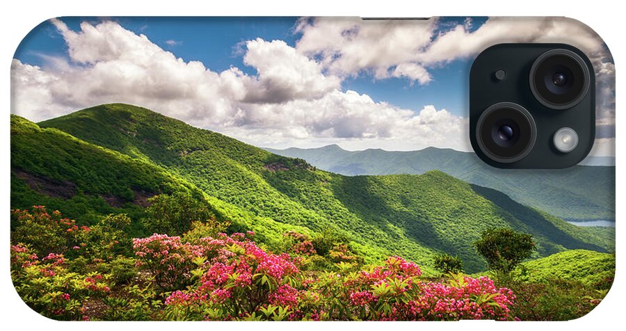 Asheville iPhone Case featuring the photograph Asheville NC Blue Ridge Parkway Spring Flowers Scenic Landscape by Dave Allen