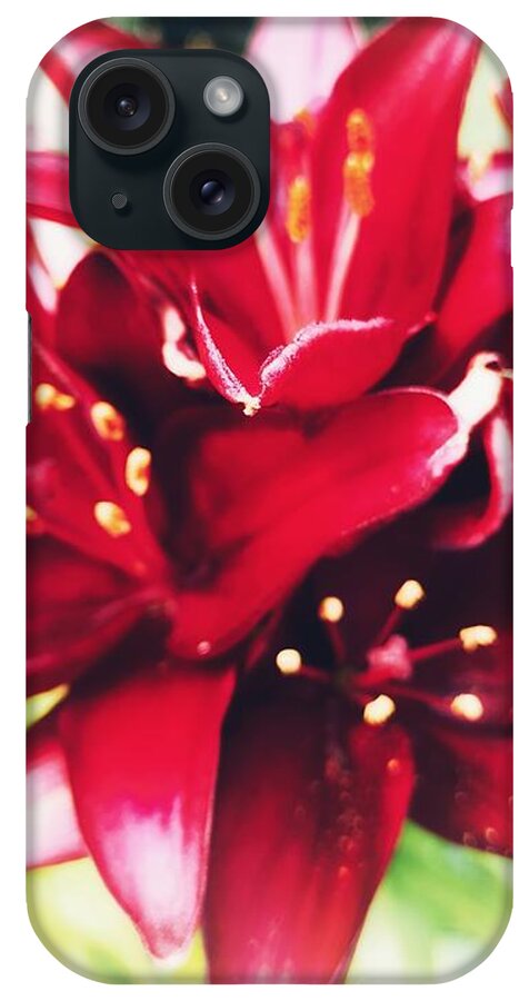 Art iPhone Case featuring the digital art Asiatic Lilies by Vix Edwards