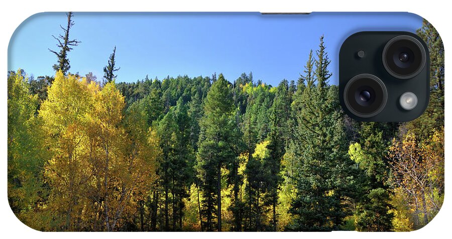 Landscape iPhone Case featuring the photograph Aspen And Cottonwood In Concert by Ron Cline