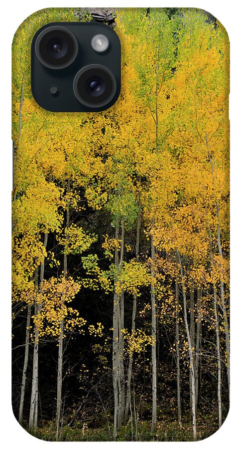 Landscape iPhone Case featuring the photograph Aspen Haven by Ron Cline