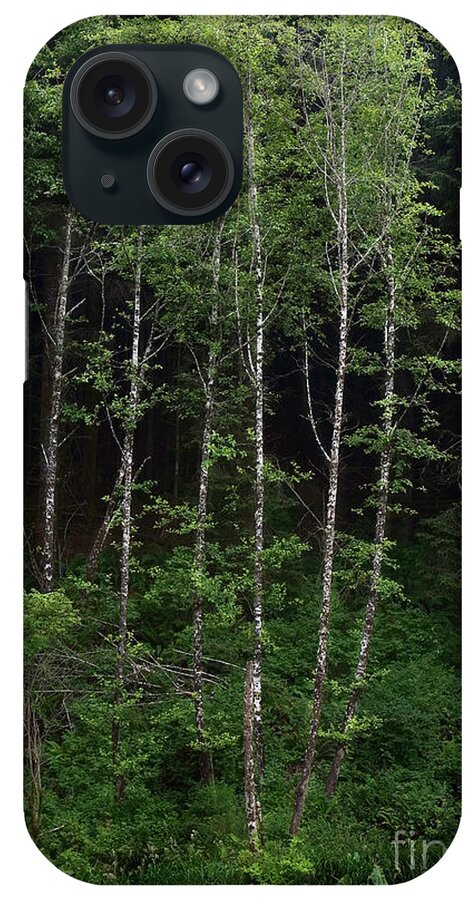 Landscape iPhone Case featuring the photograph Aspen Outside Lincoln City, Oregon by Craig J Satterlee