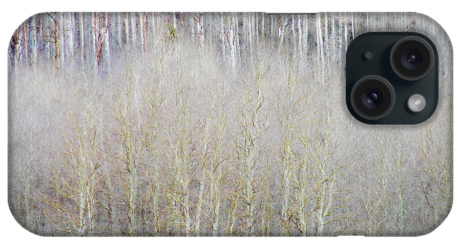 Aspens iPhone Case featuring the photograph Aspen Trees by Neil Pankler