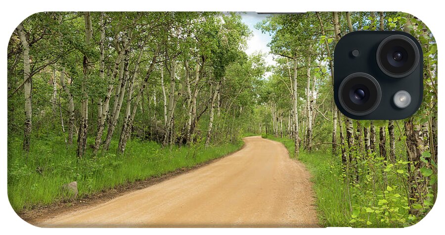 Aspen Trees iPhone 15 Case featuring the photograph Dirt Road With Aspen Trees by Tom Potter