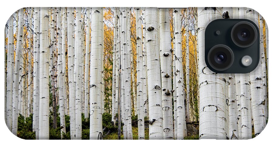 Aspen iPhone Case featuring the photograph Aspens And Gold by Stephen Holst
