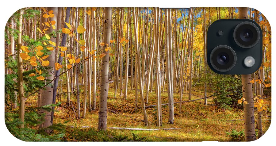 Aspen iPhone Case featuring the photograph Aspens In Autumn 12 - Santa Fe National Forest New Mexico by Brian Harig