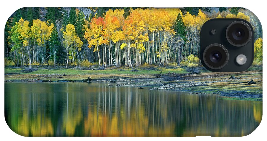 Dave Welling iPhone Case featuring the photograph Aspens In Fall Color Along Lundy Lake Eastern Sierras California by Dave Welling