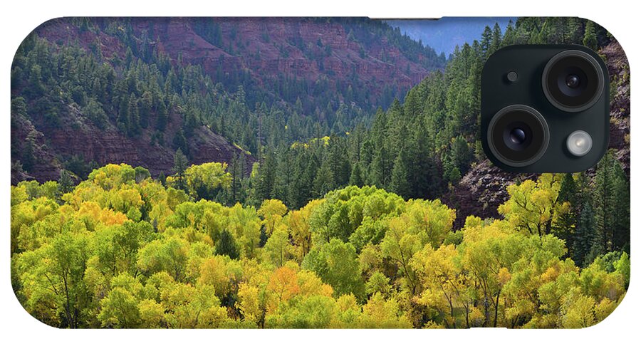 Colorado iPhone Case featuring the photograph Aspens in Full Color along Highway 145 and San Miguel River by Ray Mathis