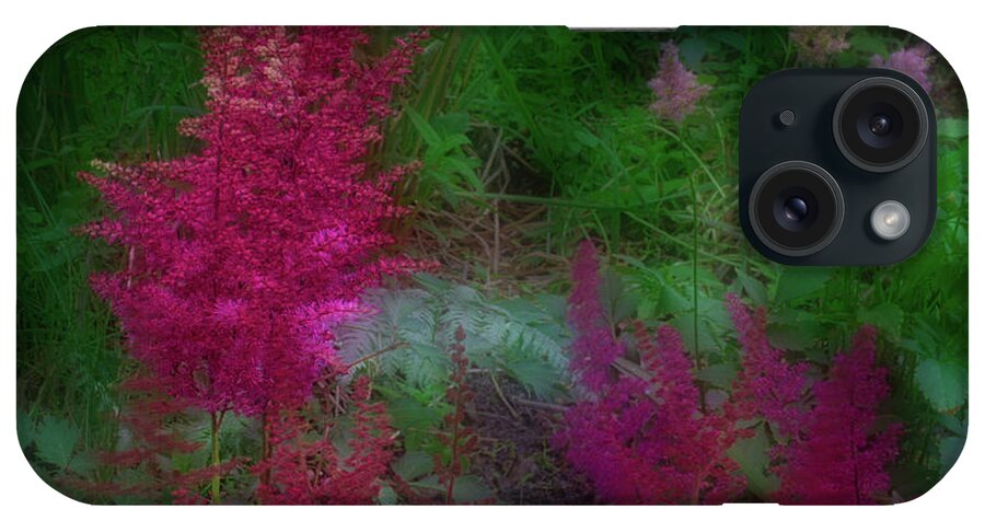 Astilbe iPhone Case featuring the photograph Astilbe in the Garden by Ann Jacobson
