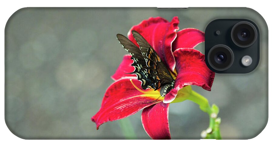 Butterfly Orchid Insect Closeup Outside Outdoors Nature Natural Wild Life Wildlife Flower Flowers Botany Botanic Botanical Ma Mass Massachusetts Brian Hale Brianhalephoto iPhone Case featuring the photograph At One with the Orchid 2 by Brian Hale