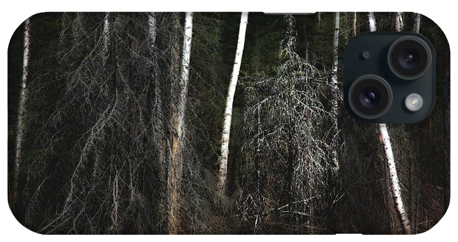 Forest iPhone Case featuring the photograph At the Edge of the Forest by Jim Vance