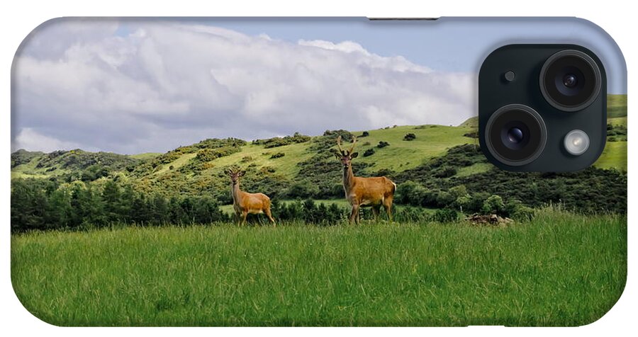 Beecraigs iPhone Case featuring the photograph At the hill bottom. by Elena Perelman