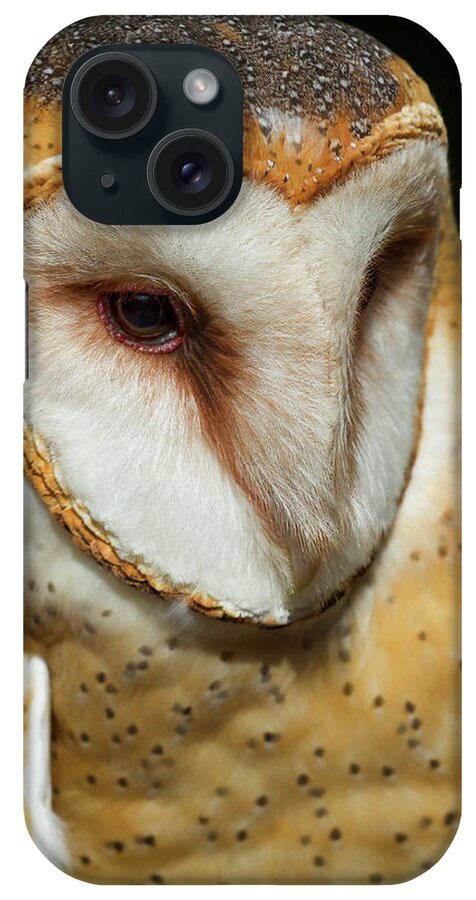 Nature iPhone Case featuring the photograph Athena the Barn Owl by Arthur Dodd