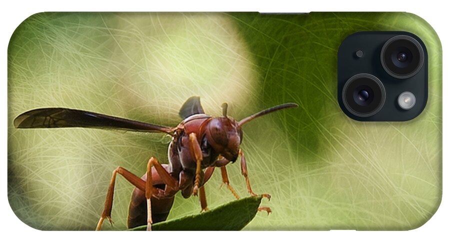 Wasp iPhone Case featuring the photograph Attack Mode by Steven Richardson