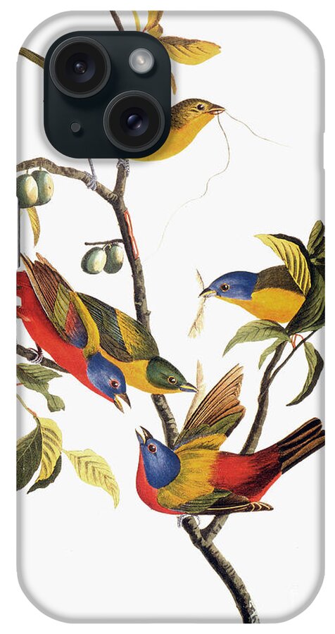 1838 iPhone Case featuring the photograph Audubon: Sparrows by Granger