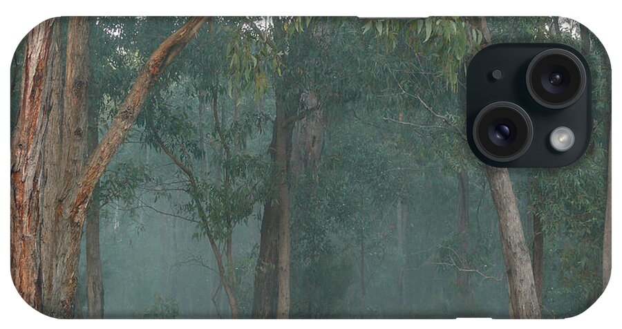 Australia iPhone Case featuring the photograph Australian Morning by Evelyn Tambour