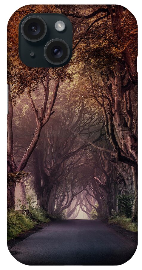 Dark Hedges In Northern Ireland iPhone Case featuring the photograph Autumn alley in Northern Ireland by Jaroslaw Blaminsky
