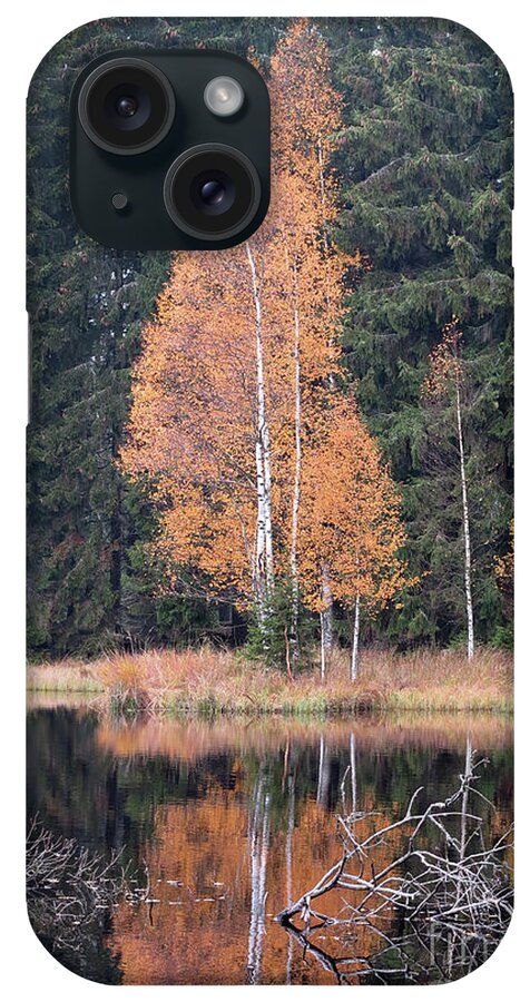 Reflection iPhone Case featuring the photograph Autumn Birch by the Lake by Michal Boubin