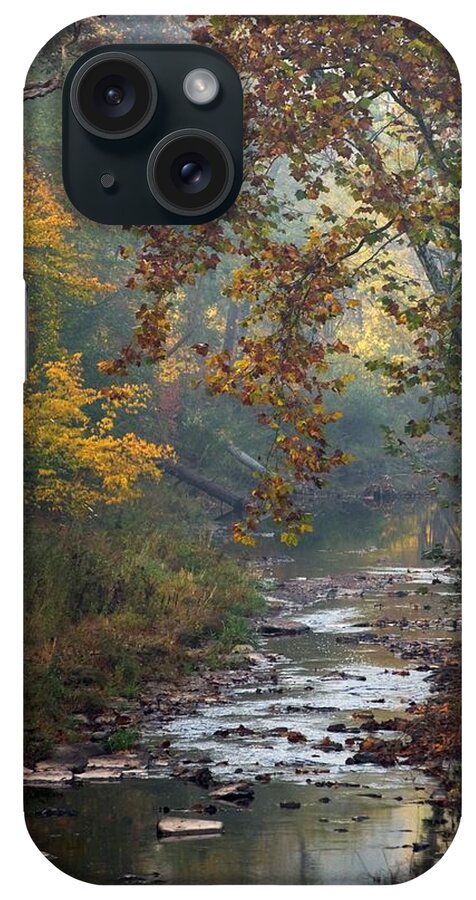 Autumn iPhone Case featuring the photograph Autumn by the Creek by Elsa Santoro